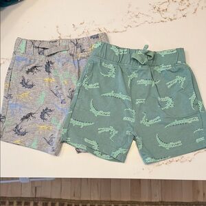 Falls Creek Green Crocodile & Gray Dino Print Kids Shorts Set of 2